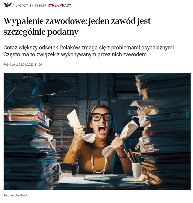 Screenshot artykułu